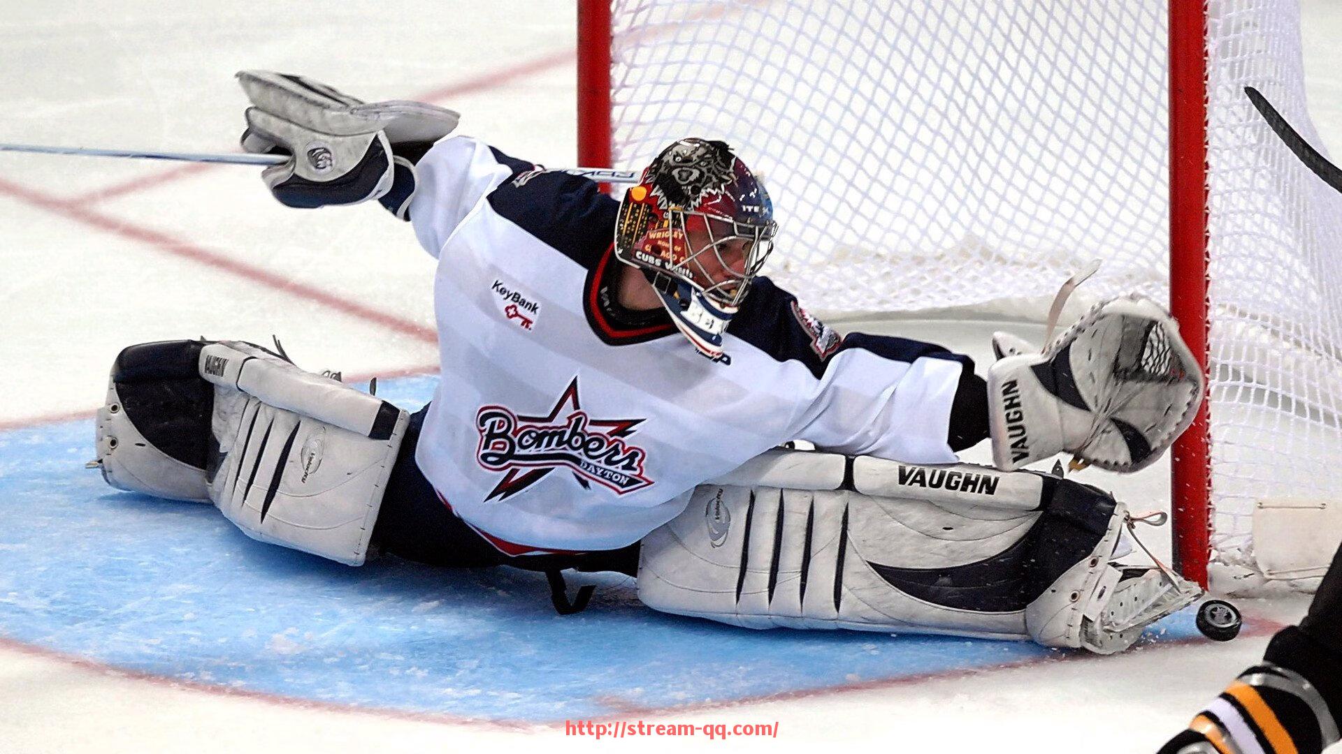 企鹅直播-波尔图欧冠各赛季参赛表现与球员名单