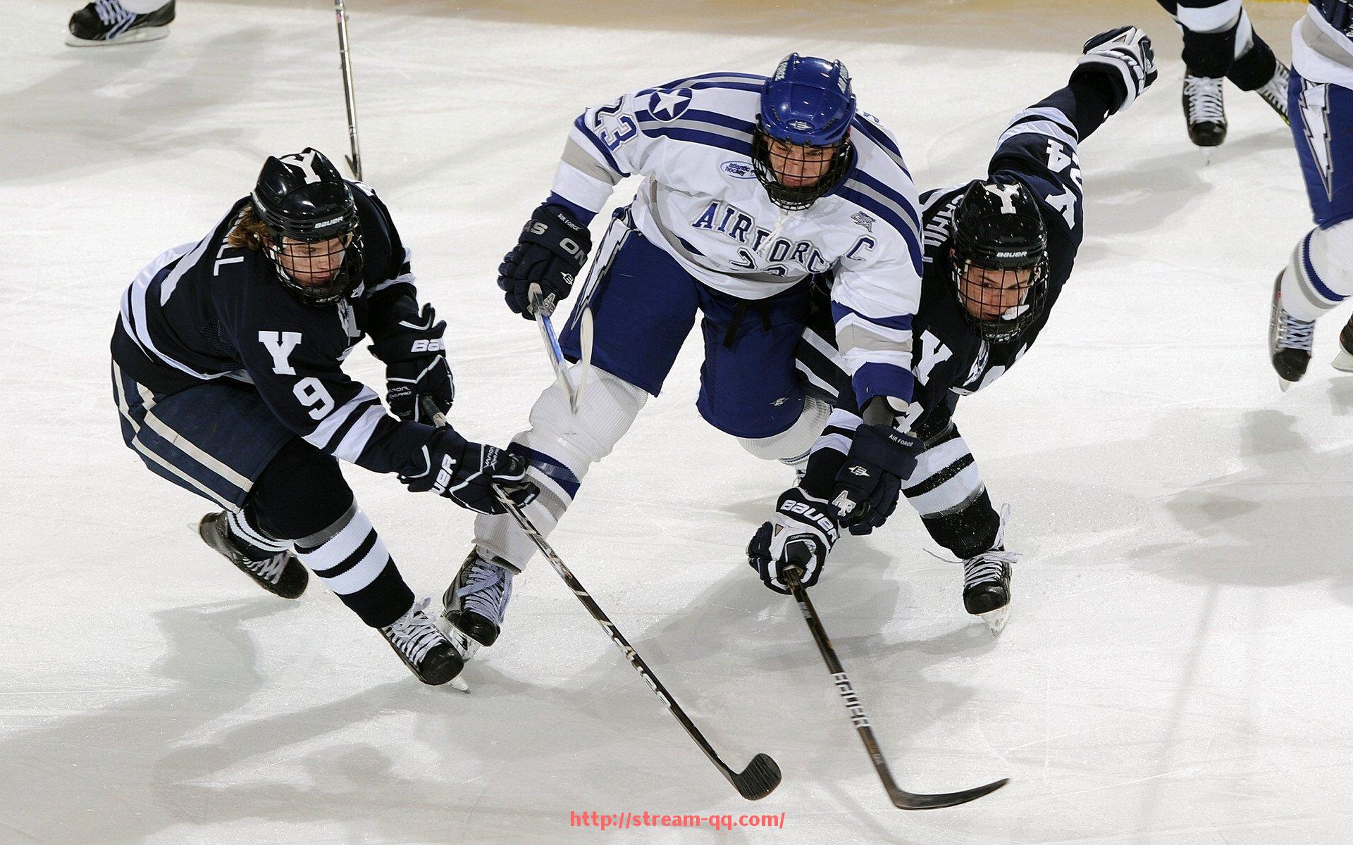 企鹅直播-穿绿色球衣的意甲球队及其独特文化背景